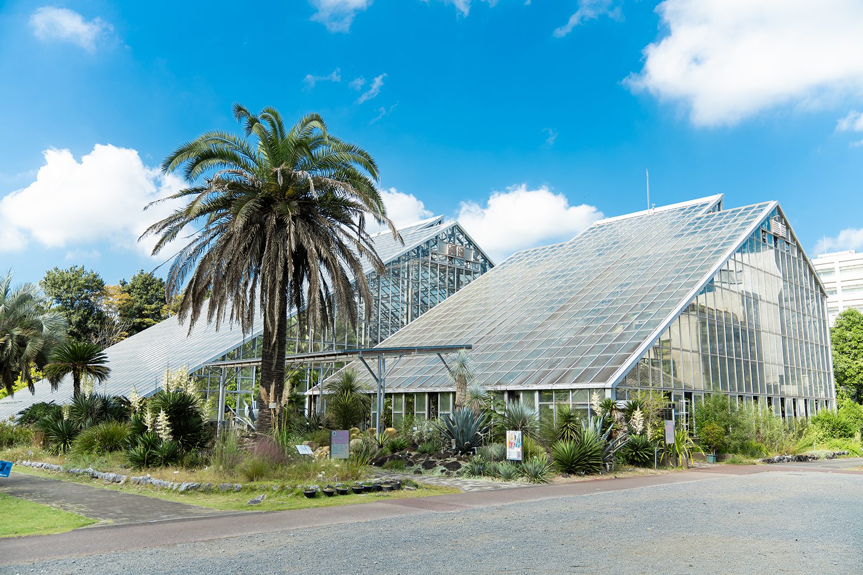 筑波実験植物園